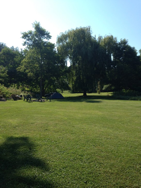 John and Connie lawn